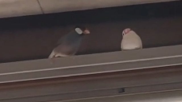 没想到这是爱情最真实的样子