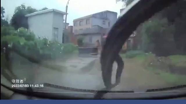 我什么也没看见，你们也没看见。听到没