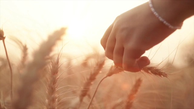 唉，一晃都好几十岁了