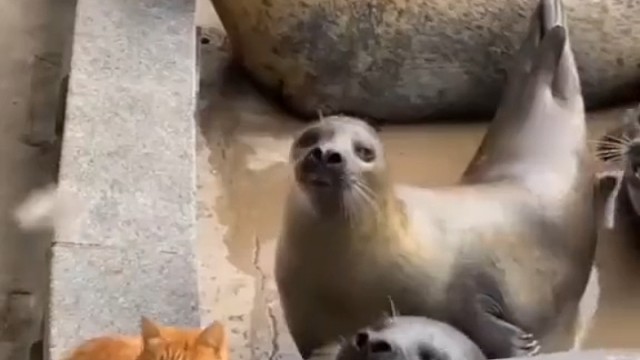 第二巴掌有点冤枉