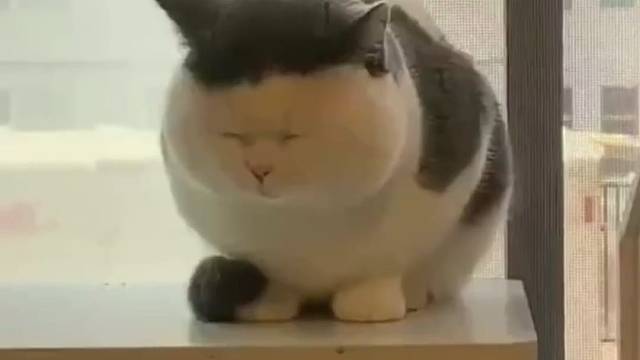 在线求显脸小的发型