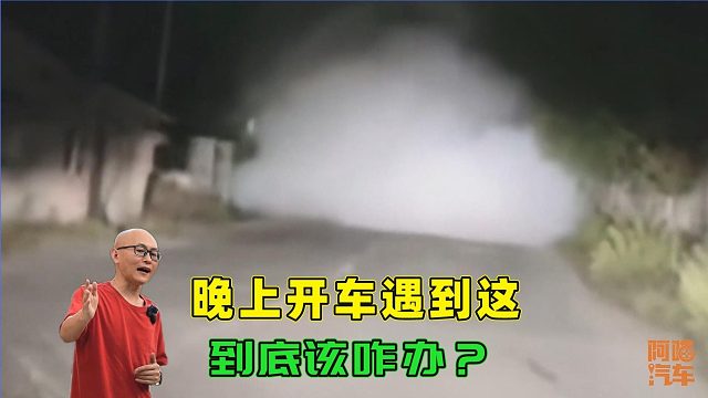 开车遇到团雾咋办？过来人教你几招，关键时刻能救命，新手学学