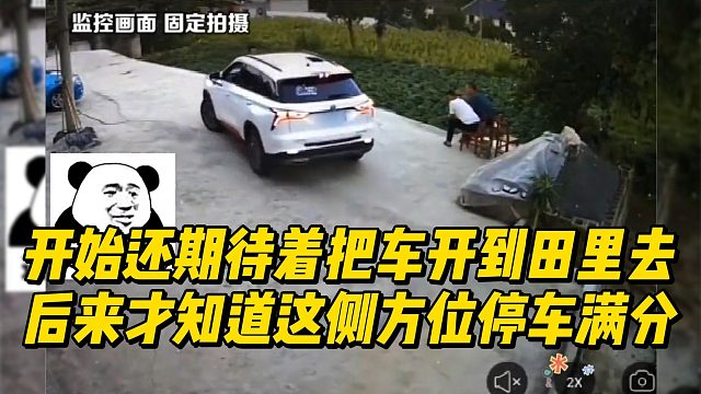 开始还期待着以为要把车开到田里去，后来才知道这侧方位停车满分