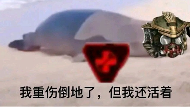 拳击手-寻血猎犬