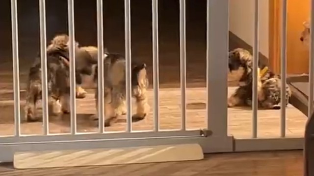 叫你吃那么多，过不来吧