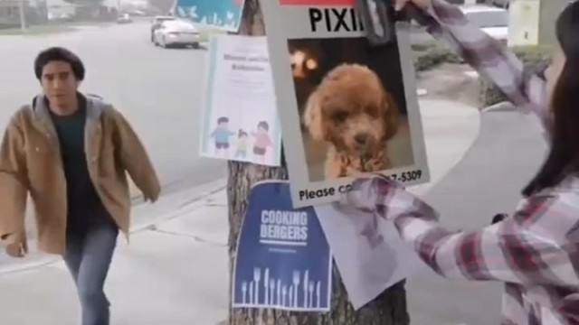 这样的魔法爱了吗