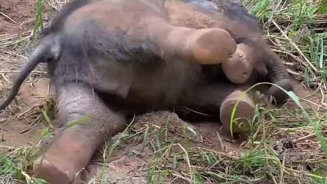 仅推荐可爱有趣的人可看