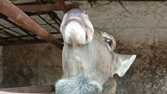 多多少少都不服啊