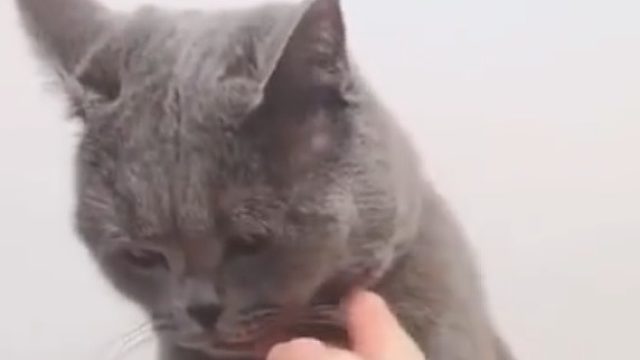 姑娘，我想我已经做得很委婉了