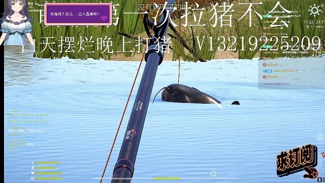 加油吧坚持打猪猪，你也会有