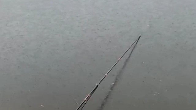 该放手的时候就放手，人生亦如此