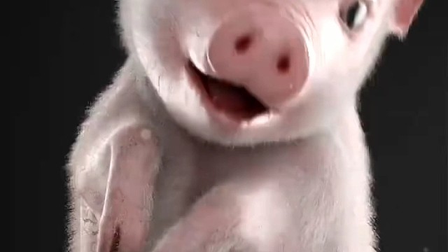 没有笑出声的朋友们给个赞