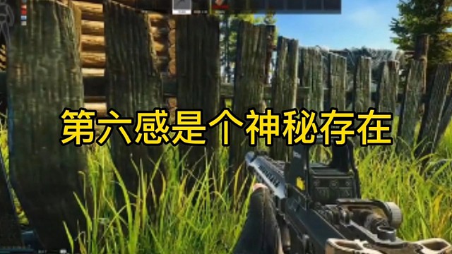 逃离塔科夫:第六感是个神秘存在。