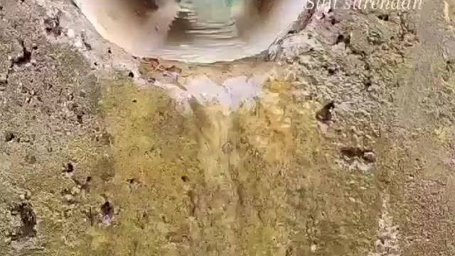 原来鱼儿也这么努力，逆流而上