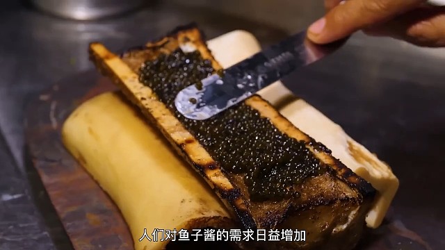 下面告诉你鱼子酱为什么那么贵