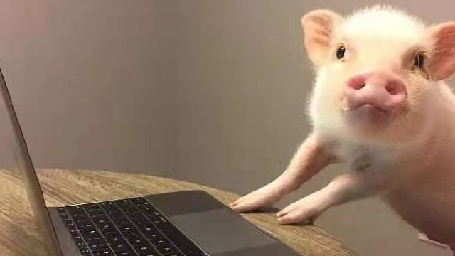 吸汤面-大型野战2022-9-15晚8:00-22-30上