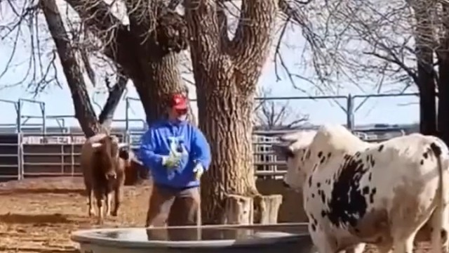 这到底是谁吓谁！三个当时都懵了