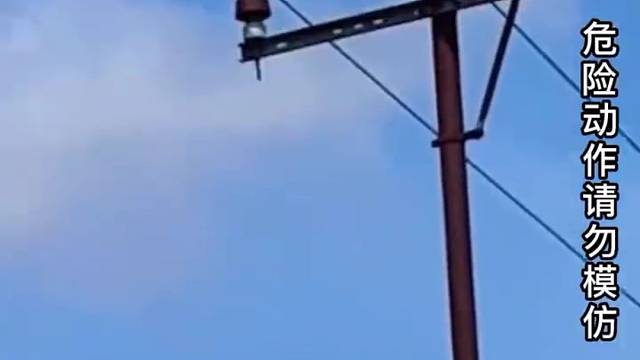 猴子爬高压线上，被电击掉下，路过的小伙帮忙喂水，救了它们