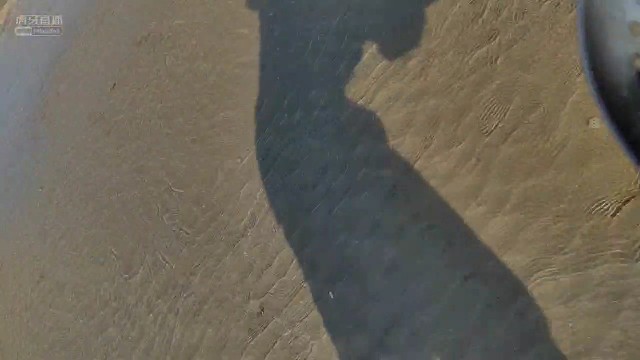 捡漏咯～捡花蛤蛤咯～