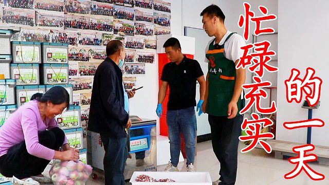 手起刀落宰羊分装，二后生给老乡结完货款再回家找羊，忙碌又充实