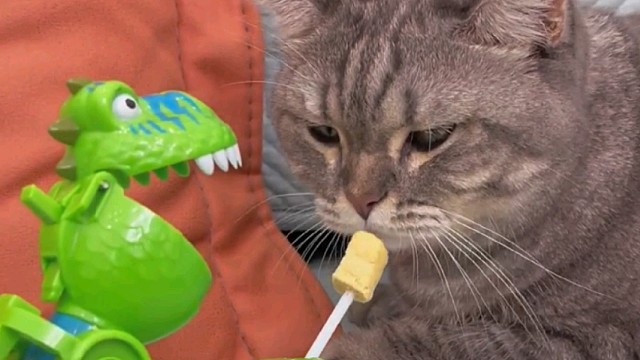 是我太傻太天真了是吗