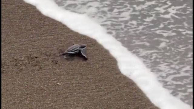 这浪真够浪的......好过分啊！