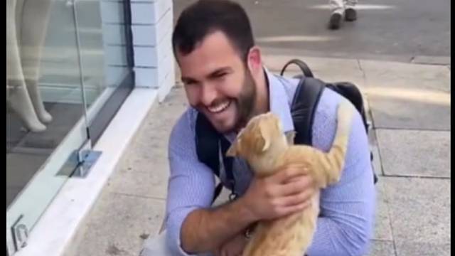 在一个街头一个猫咪凭本事找到了主人，撒娇一分钟，富贵一生。