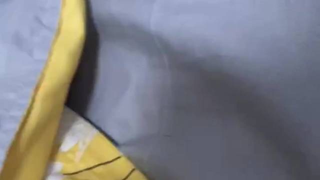 今天也是可爱的小猫咪