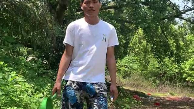 专业杀红火蚁，蚂蚁