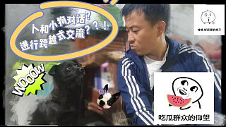 【囧囧宠物-涛哥】涛哥可以和小狗对话？