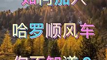 如何加入哈啰顺风车，你不知道吗？教程简单