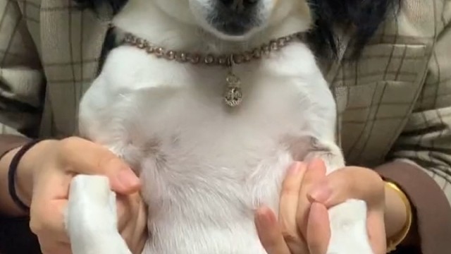 来来，给个情绪。好好就是这样！