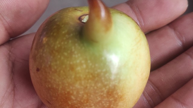 别人辞职需要提前一个月通知我辞职需要提前3个半月通知