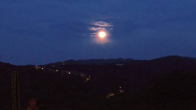 我总不能拿着烟和酒,去和手捧玫瑰的男孩子相比吧。对不起我是垃圾，我的爱也是。