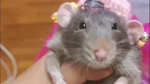 大家觉得我这舞蹈练怎样