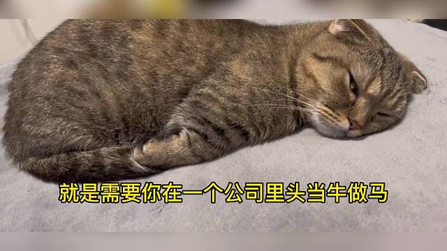 不听念经，还有起床气～