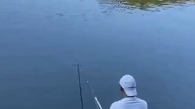 这鱼肯定不止二两