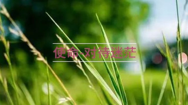 关于使命-对待迷茫