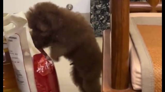 这应该去参加拳王争霸赛！