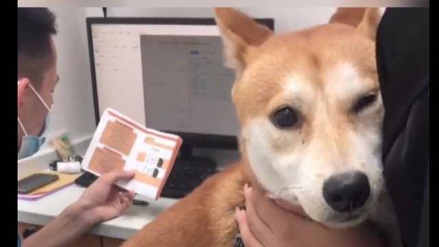 看得出来，真的很害怕去医院！