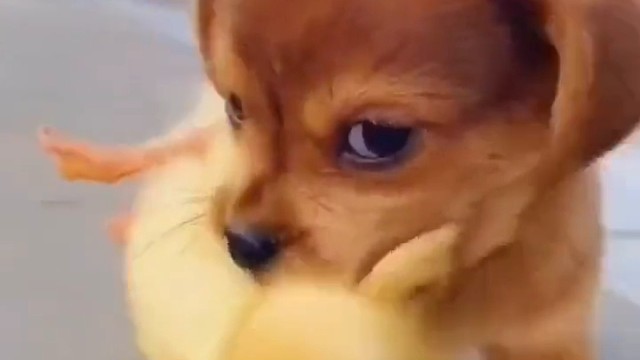 来，我带你跑比较快！