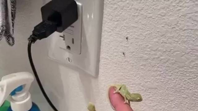 算不算非法雇佣童工