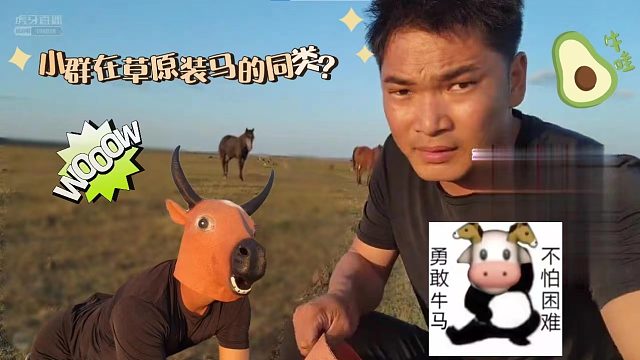 【美食小群】小群在草原装马的同类？