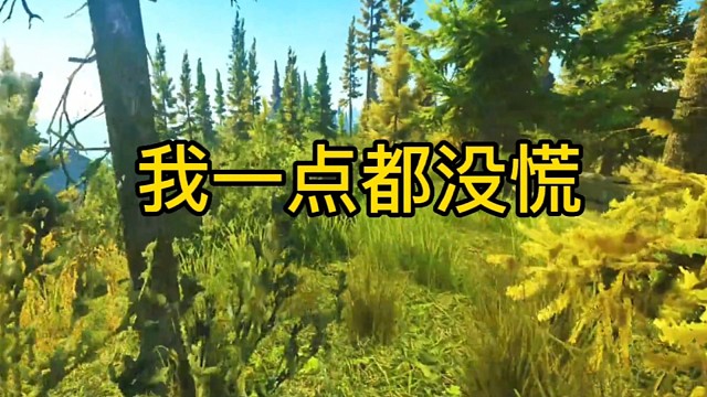 逃离塔科夫:我一点都没慌。