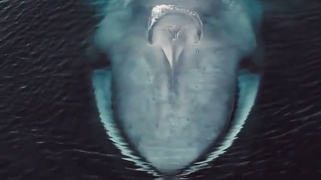 巨大的压迫感来了