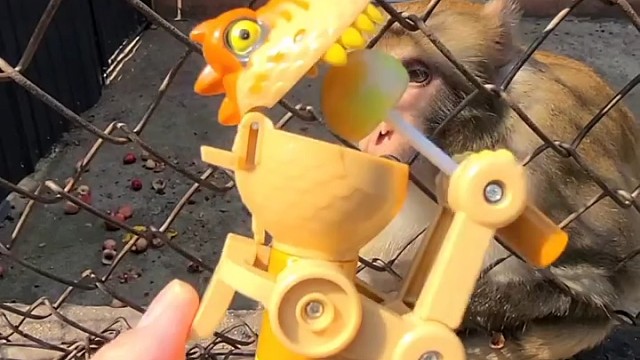 让你见识下什么事快准狠