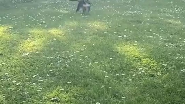 也太快乐了吧！