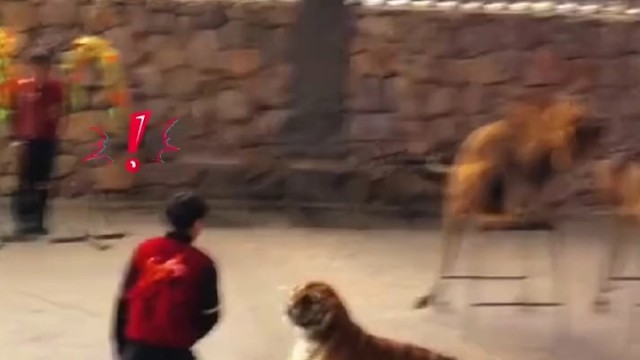 你不要过来啊！我不要面子吗？