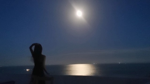 海边的晚上，真的好安静好安静