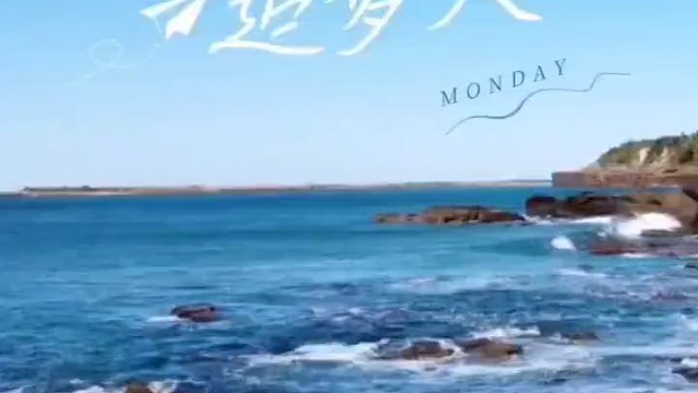 行而不辍——#及猫云外呼